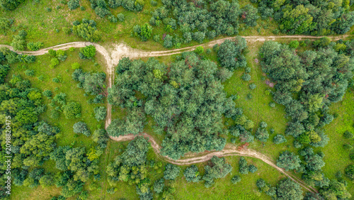 Aerial Top View of Winding Dirt Roads Through Green Forest