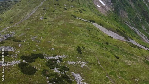 Drone View of Foggy Carpathian Mountain Valley