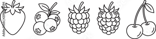 Black and white line drawing of strawberry blueberry raspberry and cherry fruit set