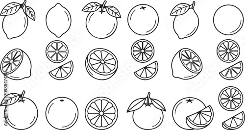 Obraz na plátně Orange and Lemon Slices Vector for Zesty Culinary Art