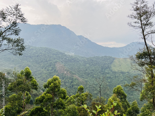 mountain landscape with trees