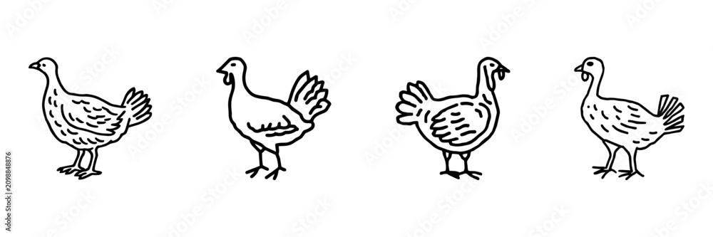 Fototapeta premium Chicken And Goose Hand Drawn Doodle Icon Set. Farm Bird, Poultry And Waterfowl Sketch Symbol Collection. Agriculture And Animal Care. Isolated Vector Illustration