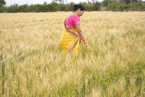 Beautiful young Indian woman wear in saree at the wheat field