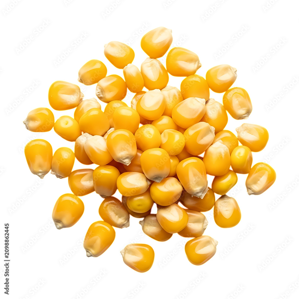 Fototapeta premium Yellow corn kernels heap fresh organic farm produce