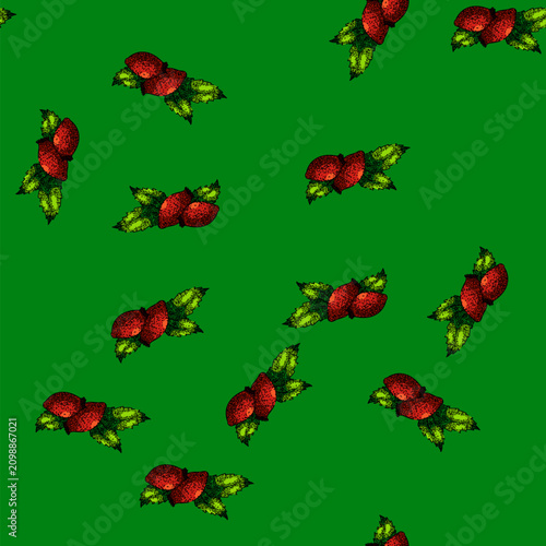 Fotografie pattern rosehip plant berry hand drawn