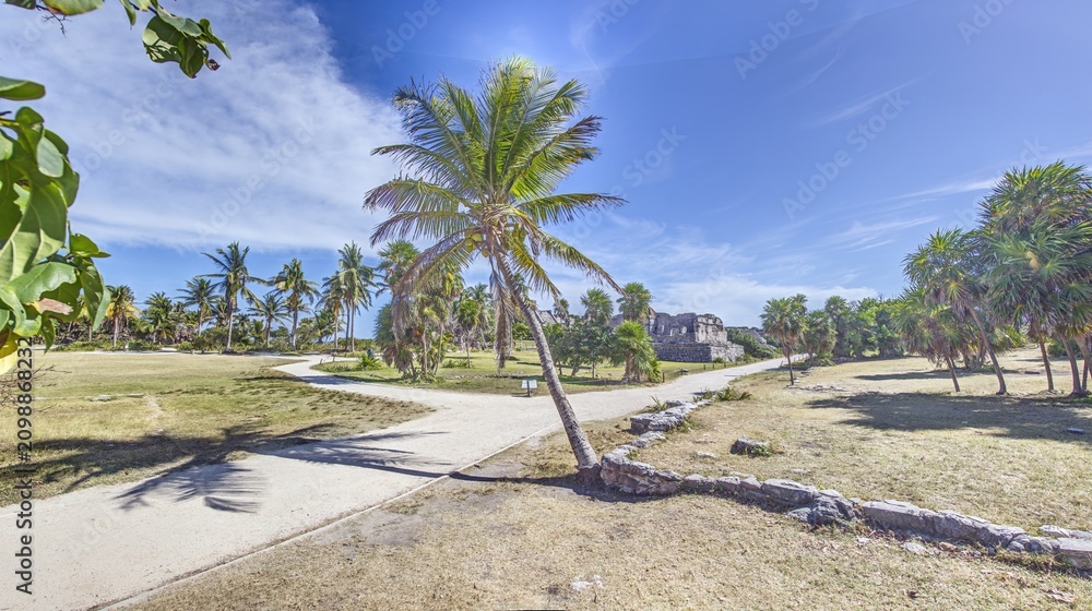 Fototapeta premium Tulum Ruins with Palm Trees on Caribbean Coast