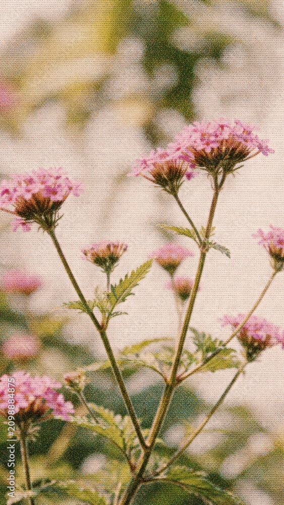 Obraz premium Delicate pink flowers in sunlight mobile wallpaper