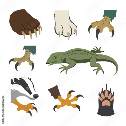 фотографія Diverse Animal Paws and Claws Collection with Lizard Illustration