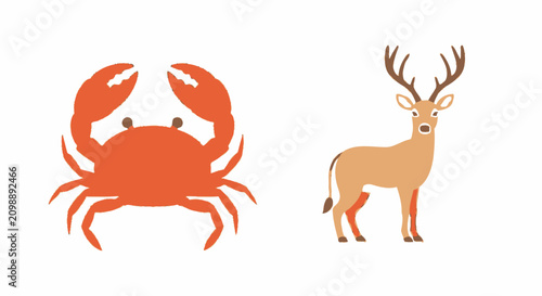 Photos Minimalist Vector Illustration of a Red Crab and a Brown Deer Side by Side