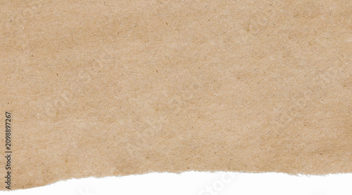 Quadro su tela Torn kraft paper texture with faint pastel tear edge