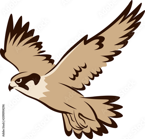 Flying hawk clip art in traditional chinese brush painting style