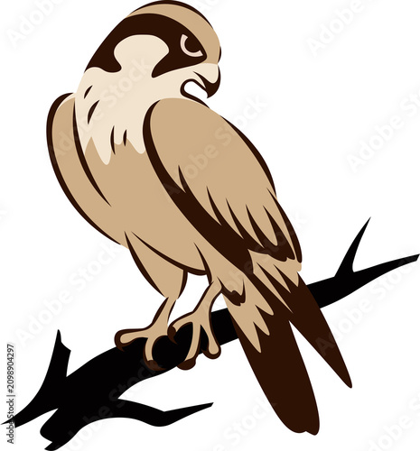 Hawk clipart, traditional chinese brush painting style