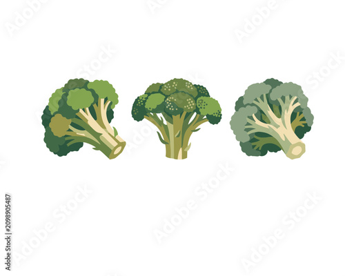 Photography Broccoli Florets Vegetables Green Fresh Produce.