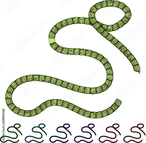 Slika na platnu nylon rope cartoon