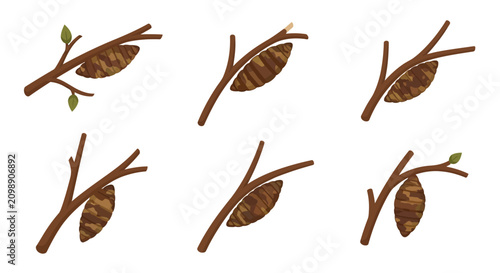 Fotografie Set of Silkworm Cocoons on Tree Branches Illustration