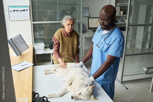 Senior Caucasian woman and Black male veterinarian examining dog on clinic table, discussing pet health and treatment. Useful for veterinary care, animal wellness, pet insurance marketing