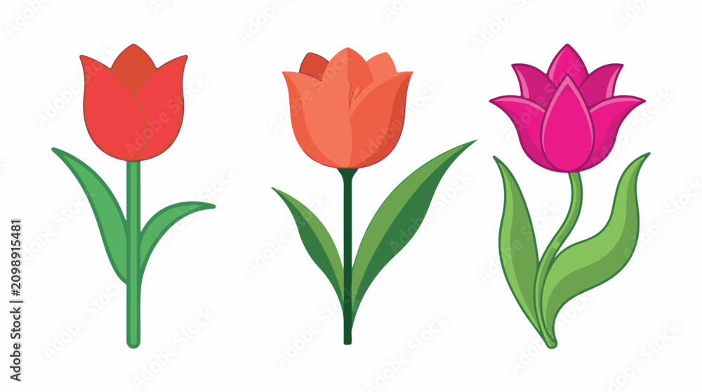 Obraz premium Colorful tulip flower icons set with green leaves isolated on white background vector illustration