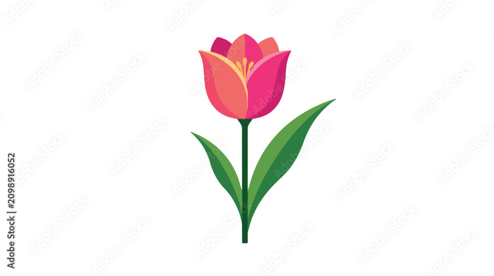 Obraz premium Pink tulip flower illustration with green stem and leaves isolated on white background for spring design