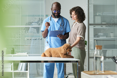Fotografie Medium shot of Black male veterinarian reviewing clipboard with Caucasian woman
