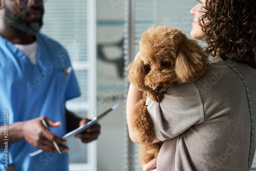 Obraz na płótnie Caucasian woman holding poodle while consulting veterinarian in clinic, discussing pet care and treatment