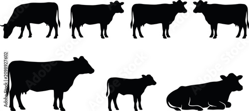 Detailed Dairy Cow Silhouette Isolated on White Background Modern Farm Animal Vector Artwork for Commercial and Educational Use