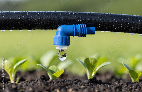 Drip irrigation nozzle with water droplet