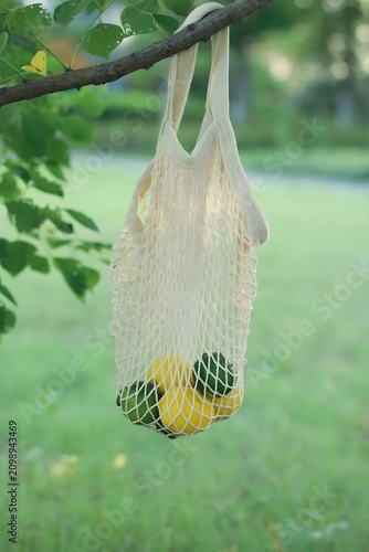 Mesh Bag of Lemons and Limes Hanging on a Tree Branch