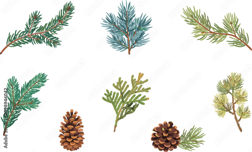 Fototapeta premium Watercolor Winter Botanical Vector Set Featuring Pine Branches, Cedar Sprigs, Fir Foliage, Spruce Twigs, and Detailed Pinecones for Christmas Clipart Designs