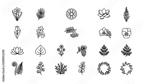 Fotografie Minimal botanical floral mountain icon pack with flowers leaves branches and ele