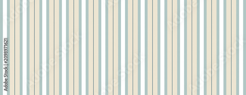 Obraz na płótnie Elegant vertical striped pattern background