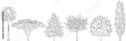 Tablou pe pânză Linear tree illustrations for architectural elevation plan view