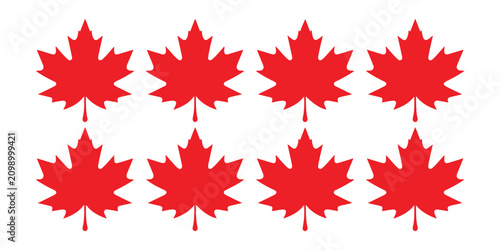 Photos Collection of eight vibrant red maple leaf icons isolated on a transparent background for design