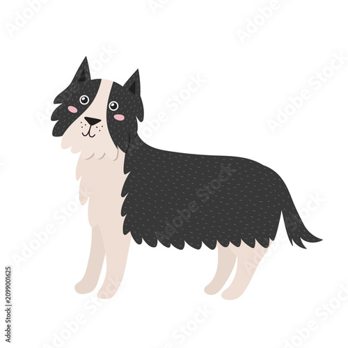 Cute doodle border collie dog with black and white fluffy fur. Adorable pet character standing in flat cartoon style. Vector illustration