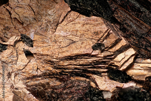 Принти на полотні Microscopic view of lamprophyllite and aegirine mineral crystals from Khibiny ma