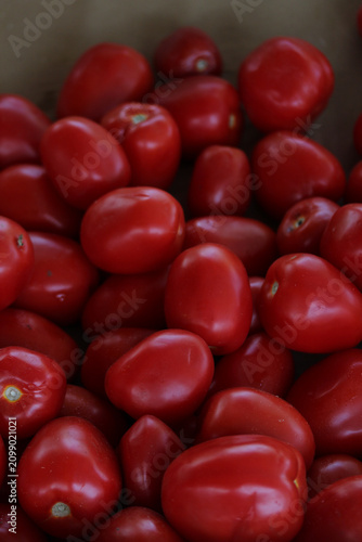 du jardin au marché 8