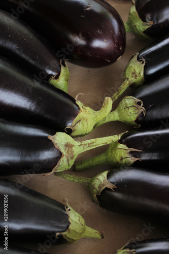 du jardin au marché 9