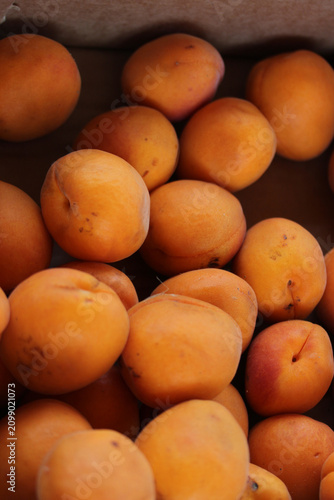 du jardin au marché 7