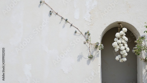 Textured Old Concrete Background