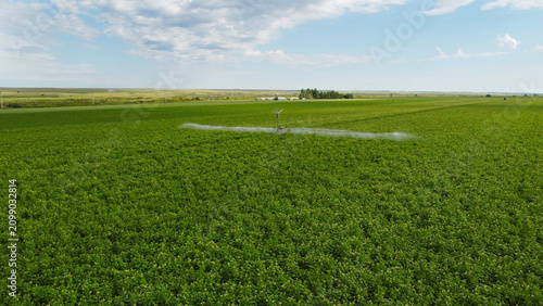 Tableau sur toile Automatic pivot irrigation system watering a lush green agricultural field
