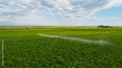 Bild auf Leinwand Automatic pivot irrigation system watering a lush green agricultural field