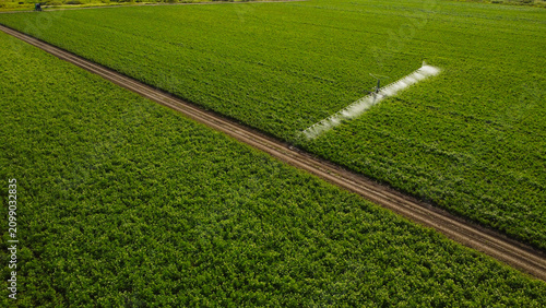Tableau sur toile Automatic pivot irrigation system watering a lush green agricultural field