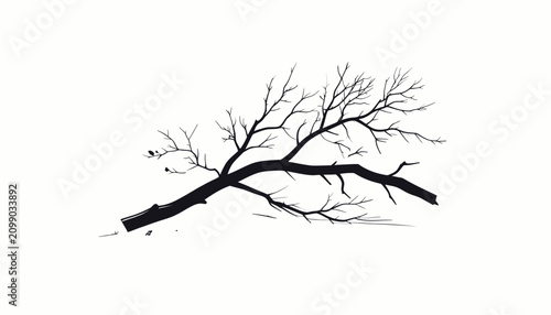 Canvastavla Leafless tree branch on white background.