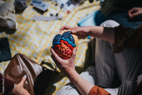 Foto High school students hold a colorful anatomical brain model, studying its lobes and structure