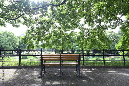 Photography 日比谷公園の木陰に佇むベンチがつくる静かな都会の風景  
Peaceful urban scene with a shaded bench in Hibiya