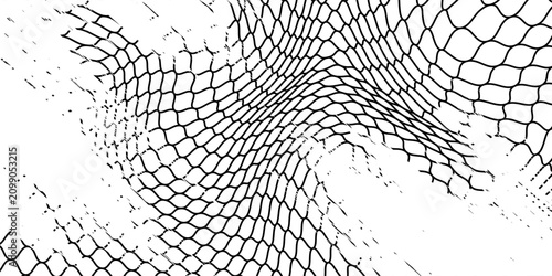Fotografía Black snake skin pattern protected on white