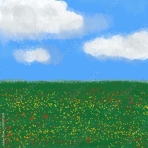 field of dandelions