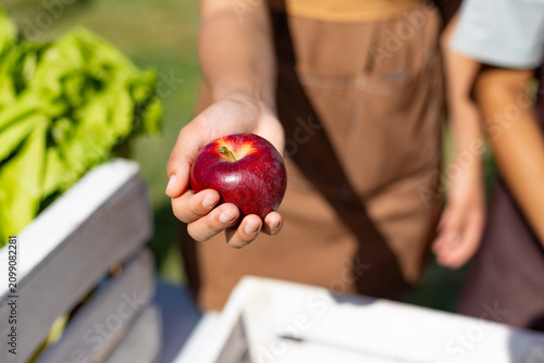 Hand holding fresh organic red apple outdoors