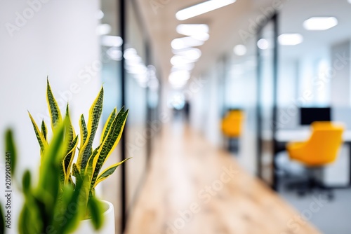 Modern office interior with lush green plant in foreground. Blurry corporate workspace background for professional presentations and design layouts.