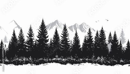 Foto Black Silhouette of Evergreen Pine Trees.