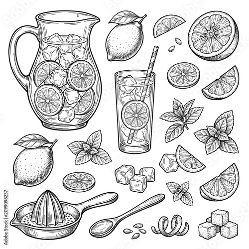 Hand drawn black ink sketch of glass jug with lemonade, citrus slice, summer drink doodle vector on white background